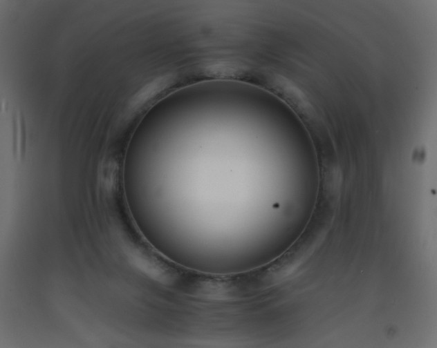 X0000093570071200710151135