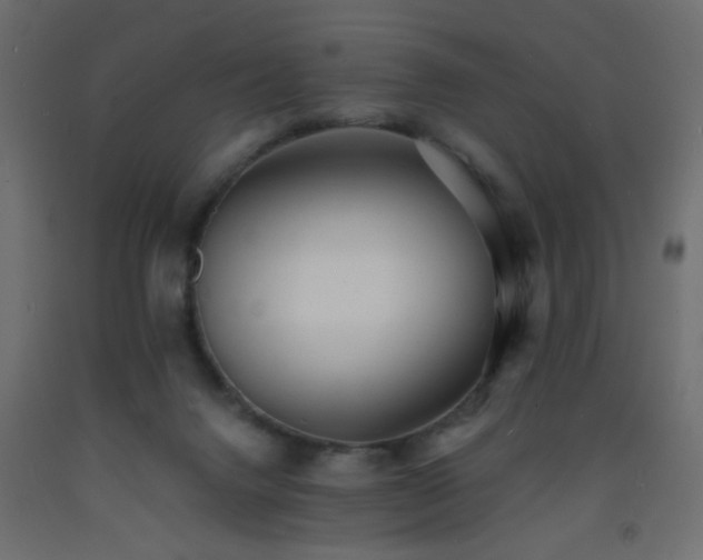 X0000093570072200710151135