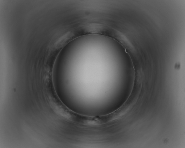 X0000093570073200710151135