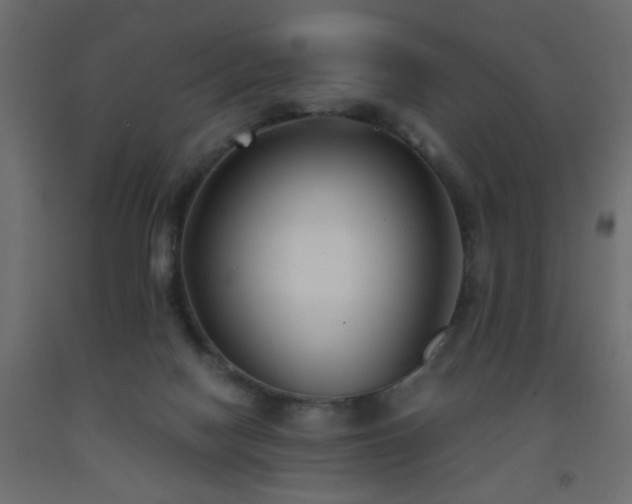 X0000093570074200710151135