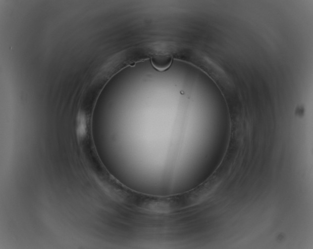 X0000093570075200710151135