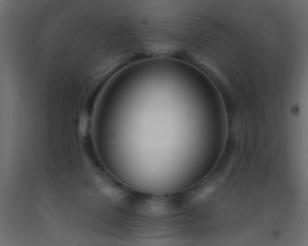 X0000093570076200710151136