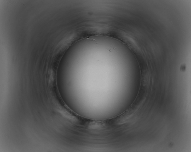 X0000093570077200710151136