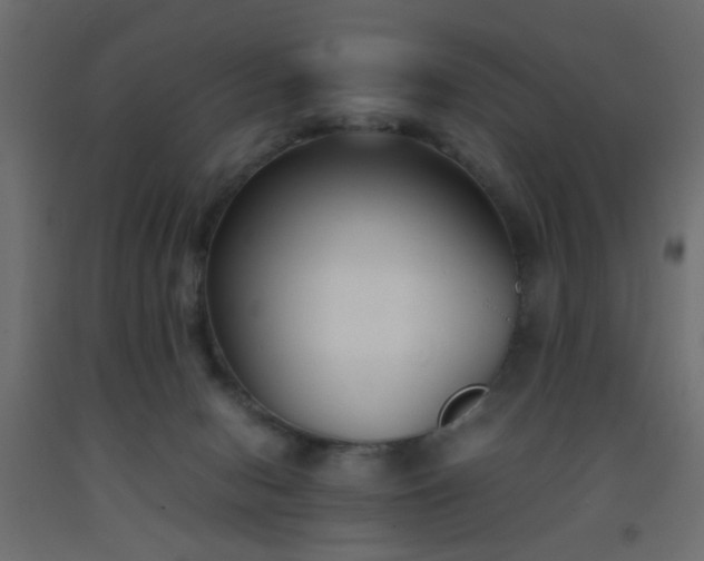 X0000093570078200710151136