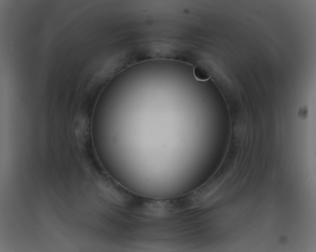 X0000093570079200710151136