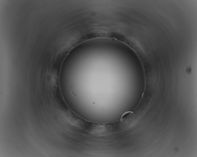 X0000093570083200710151136