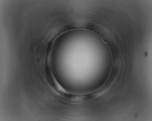 X0000093570084200710151136