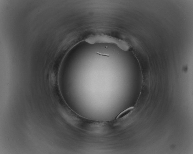 X0000093570086200710151136