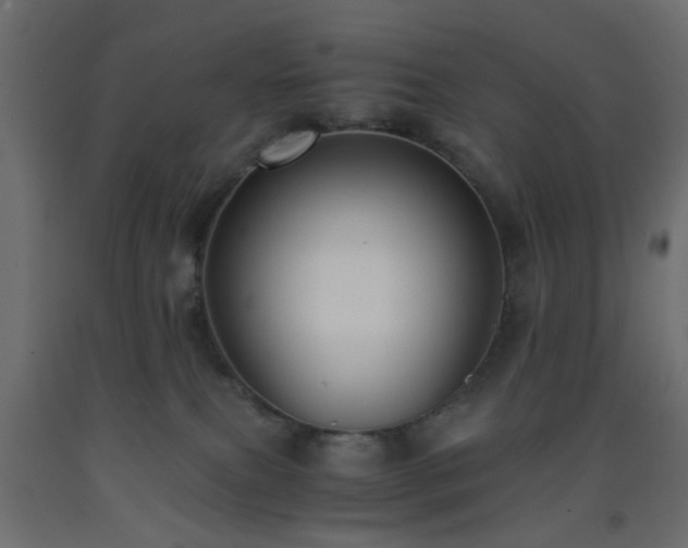 X0000093570087200710151136
