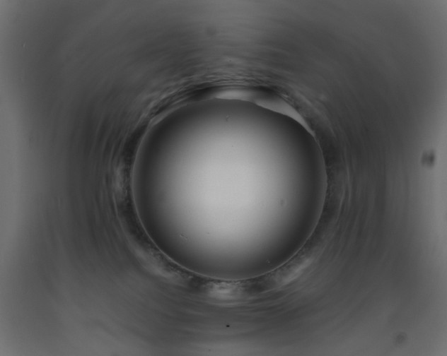 X0000093570088200710151136
