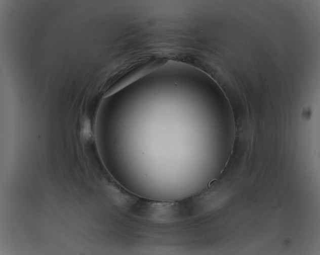 X0000093570089200710151136