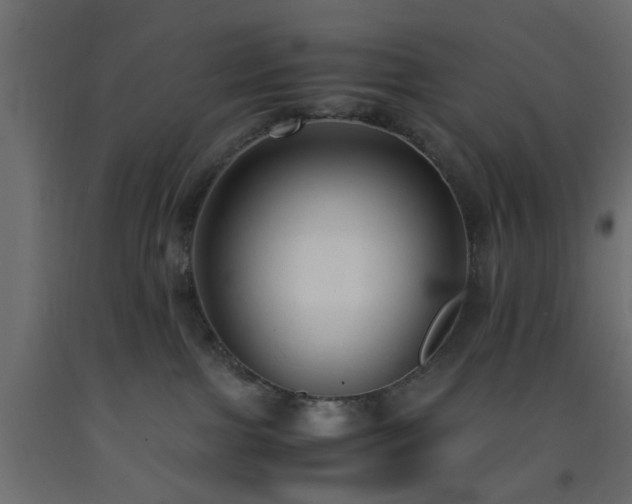 X0000093570091200710151136