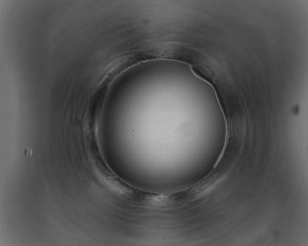 X0000093570092200710151136