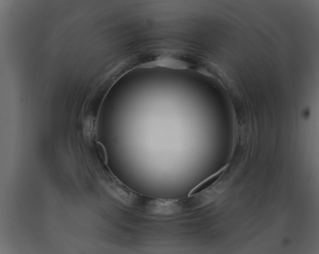 X0000093570093200710151136