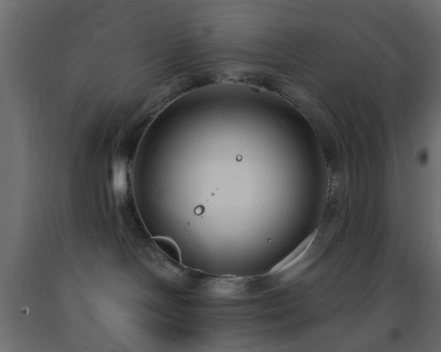 X0000093570094200710151136