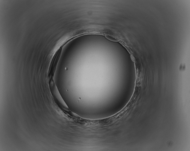X0000093570099200710151135
