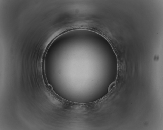 X0000093570100200710151135