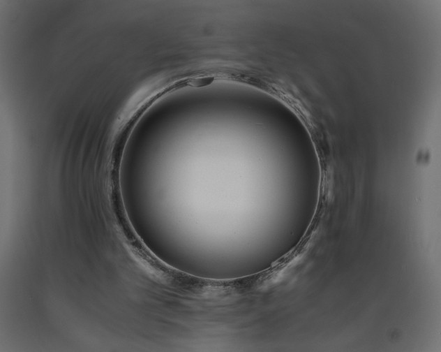 X0000093570101200710151135