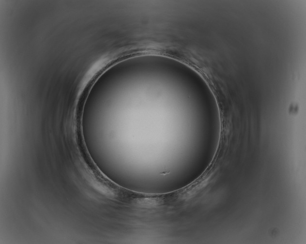 X0000093570102200710151135