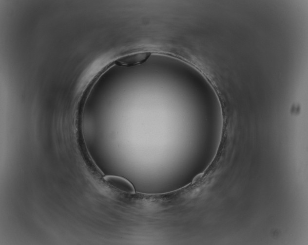 X0000093570103200710151135