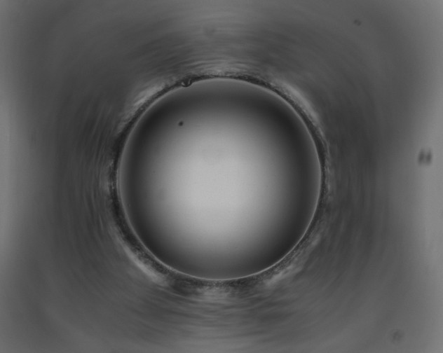 X0000093570105200710151135