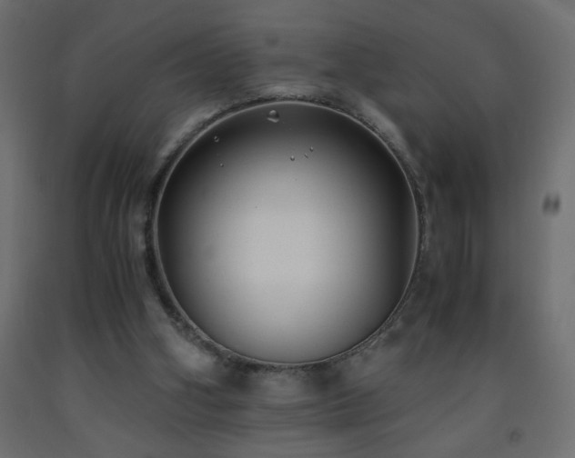 X0000093570106200710151135