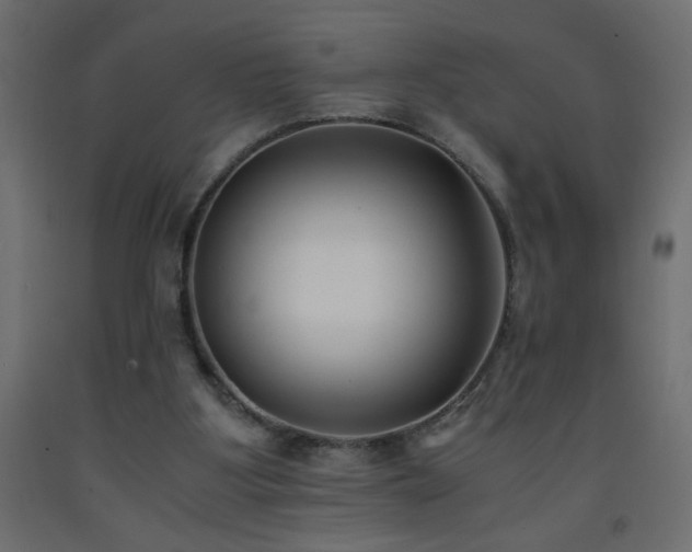X0000093570107200710151135