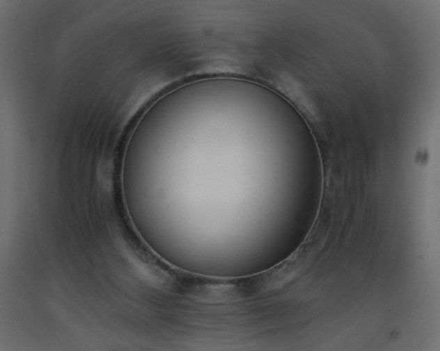 X0000093570108200710151135