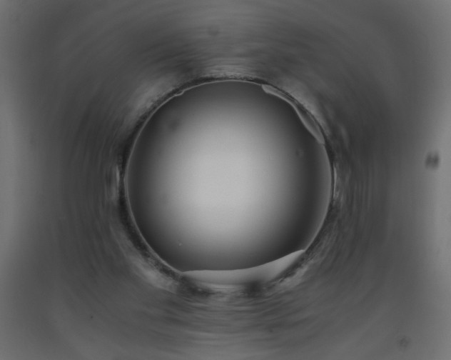 X0000093570109200710151135
