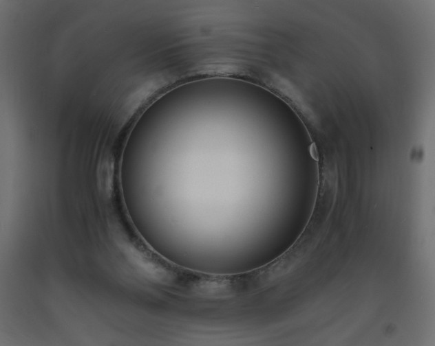 X0000093570110200710151135