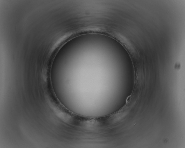 X0000093570112200710151135