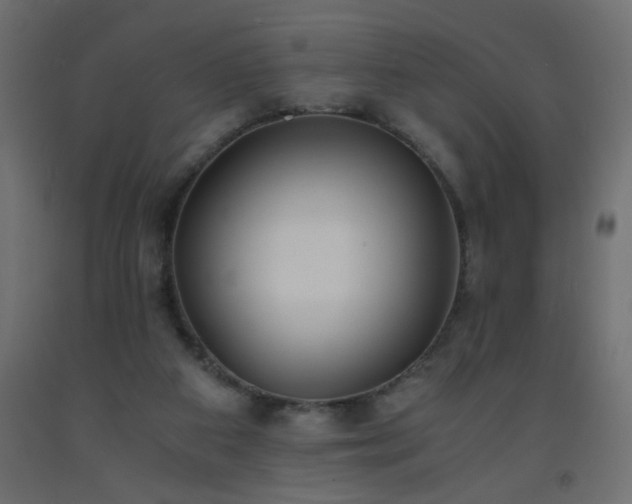 X0000093570113200710151135