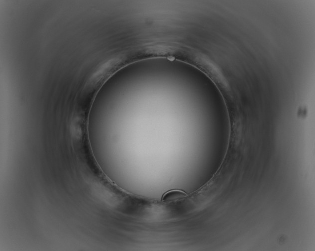 X0000093570114200710151135