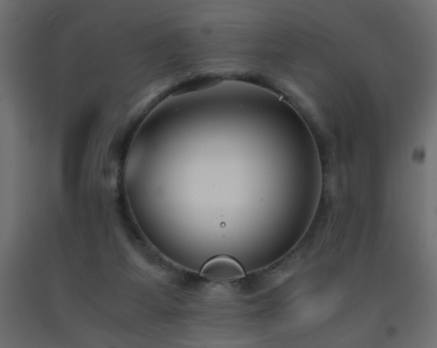 X0000093570115200710151135