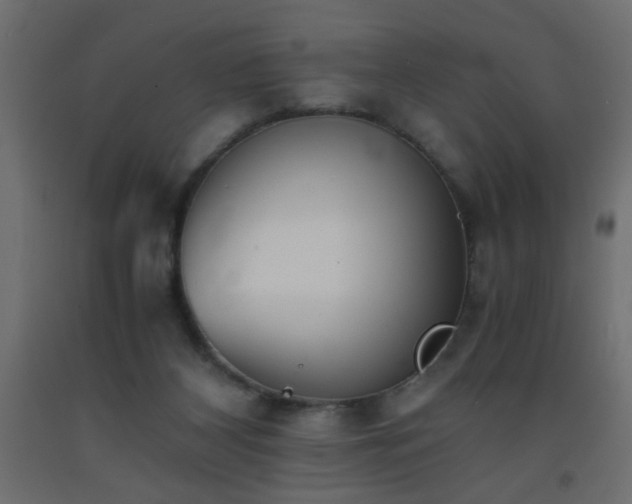 X0000093570116200710151135