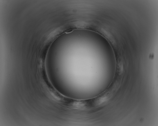 X0000093570117200710151135