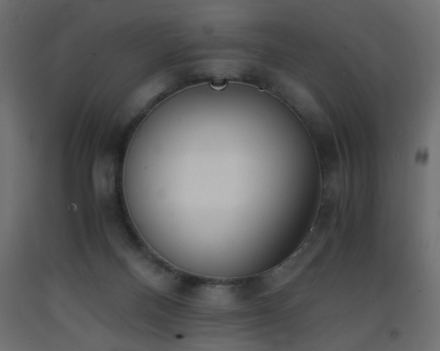 X0000093570120200710151135