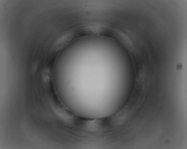 X0000093570122200710151135