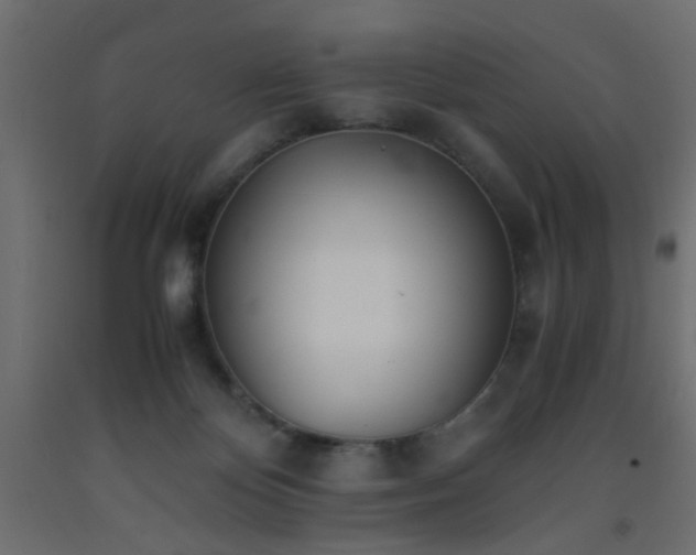 X0000093570124200710151135