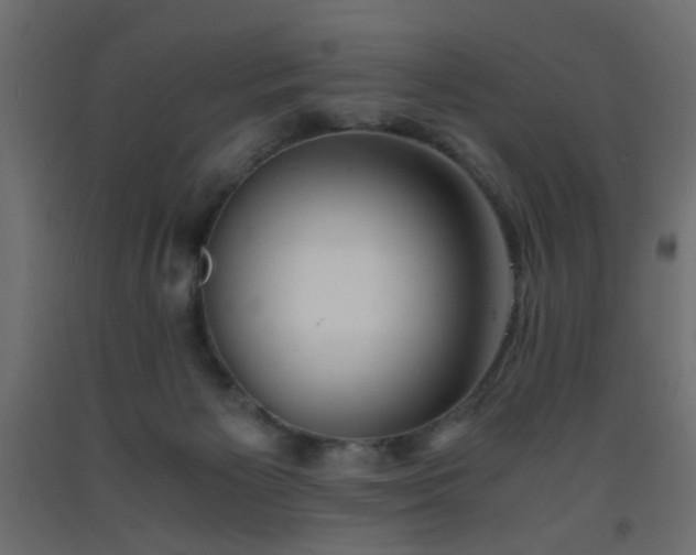 X0000093570125200710151135