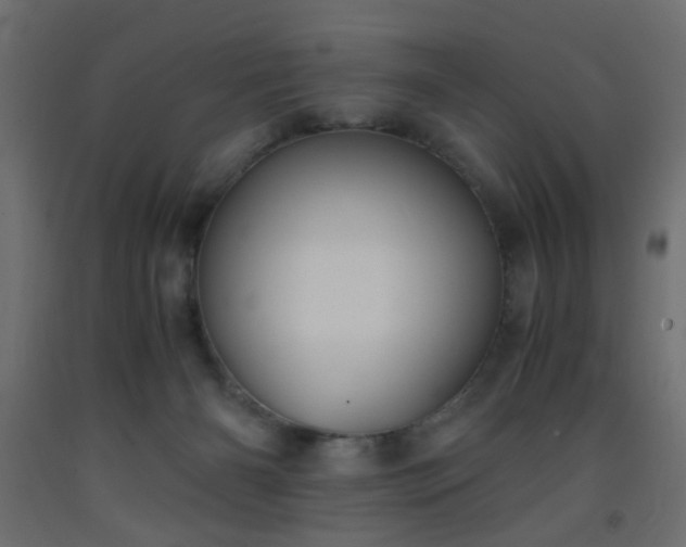 X0000093570126200710151135