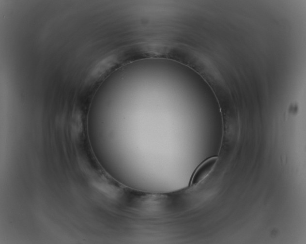 X0000093570128200710151135