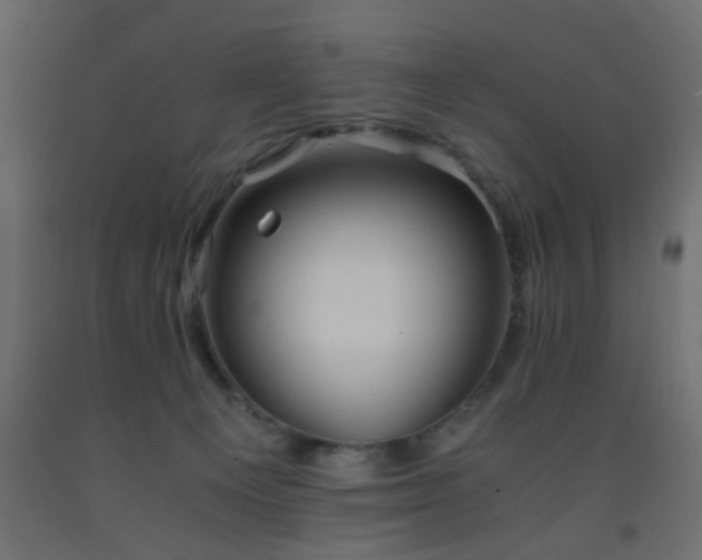 X0000093570129200710151135
