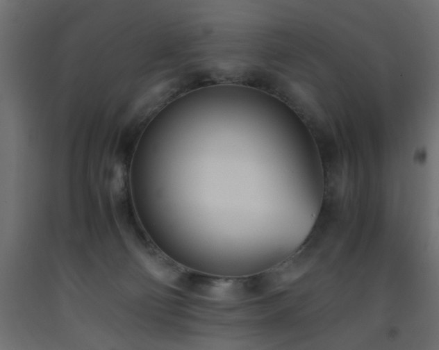 X0000093570130200710151135