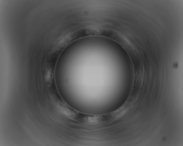 X0000093570134200710151135