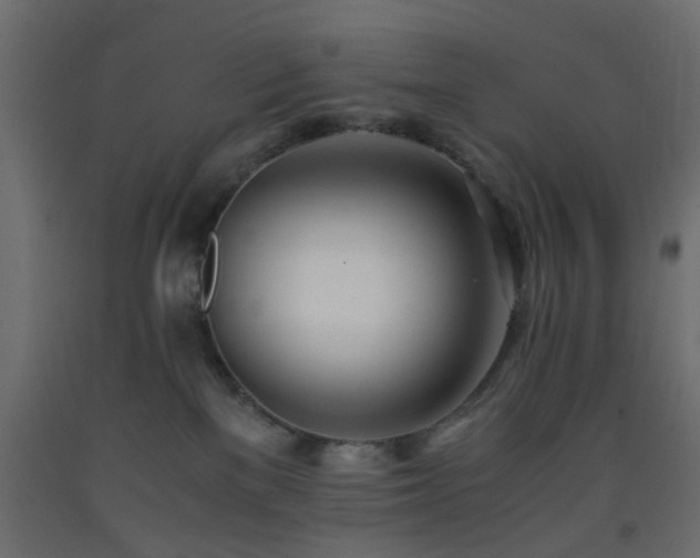 X0000093570137200710151135