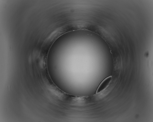 X0000093570140200710151135