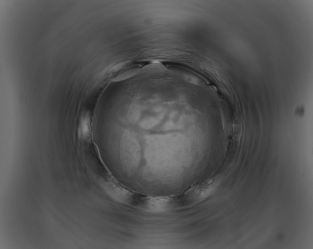 X0000093570143200710151135