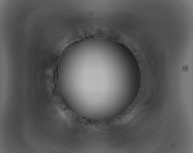 X0000093570144200710151135