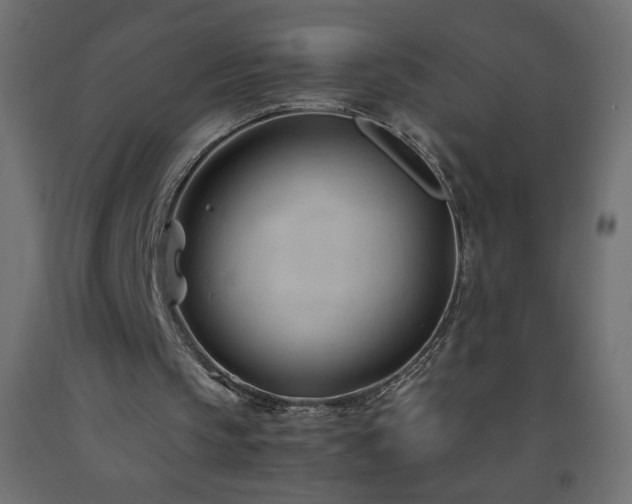 X0000093570145200710151134